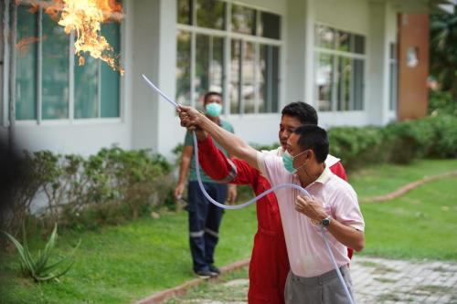 DSC02520